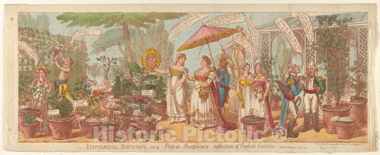 Art Print : Charles Williams - Imperial Botany – or a Peep at Josephine's Collection of Engilsh Exoticks, Vide The Champion Jany 30, 1814 : Vintage Wall Art
