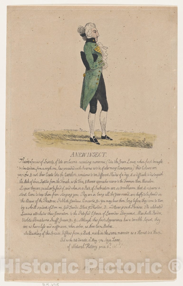 Art Print : Thomas Rowlandson - A New Insect : Vintage Wall Art