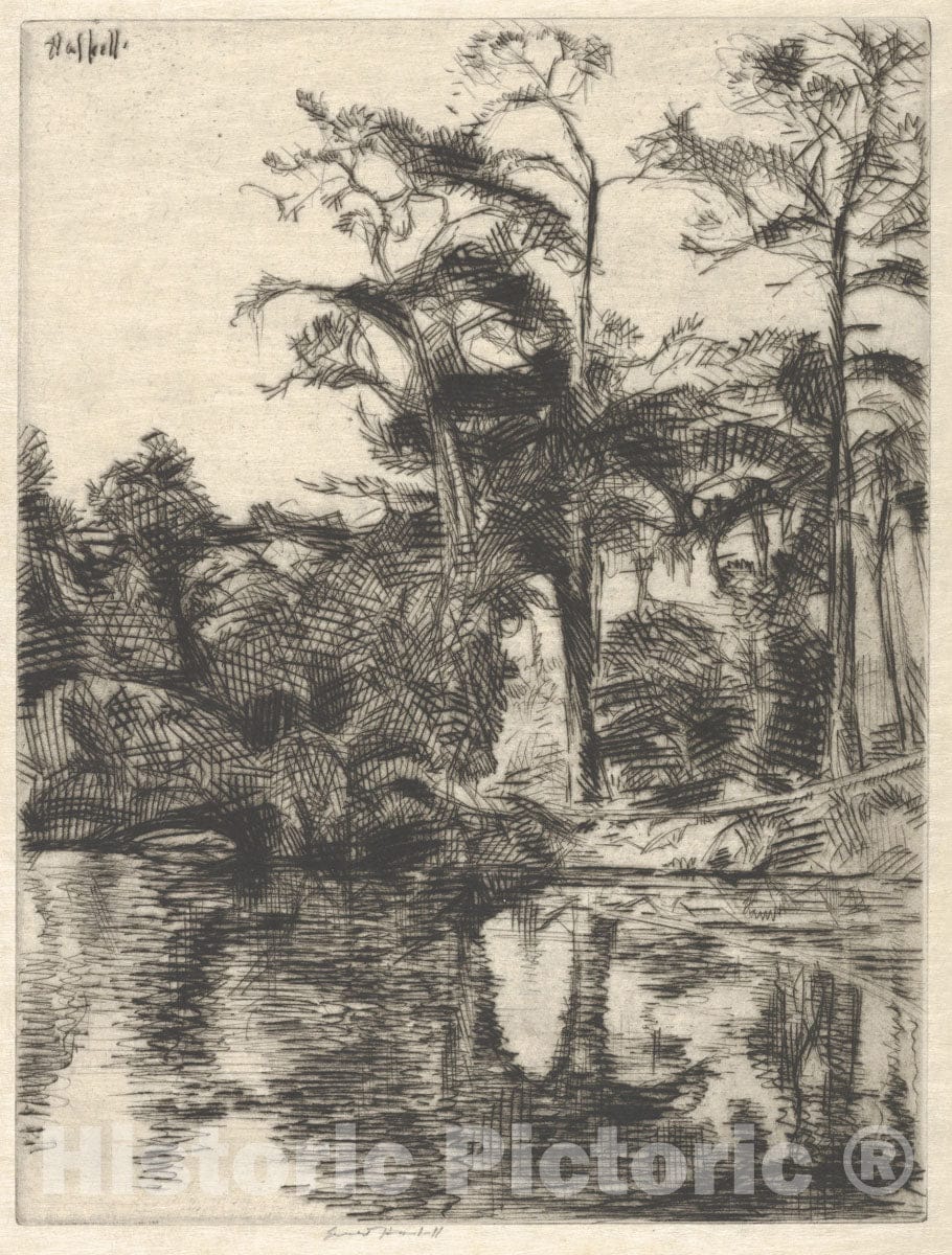 Art Print : Ernest Haskell - Alligator Pool : Vintage Wall Art