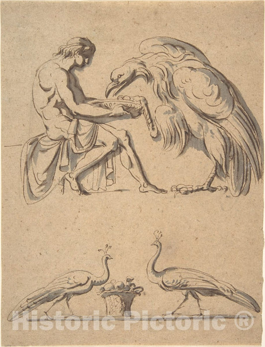 Art Print : Nicolai Abraham Abildgaard - Jupiter, Disguised as an Eagle, with Ganymede, and a Sketch of Two Peacocks : Vintage Wall Art
