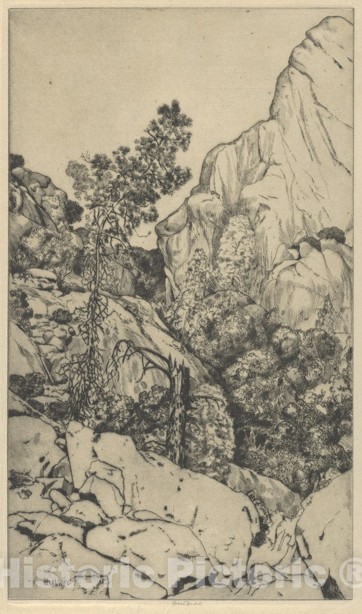 Art Print : Ernest Haskell - Pines and Pinnacles : Vintage Wall Art