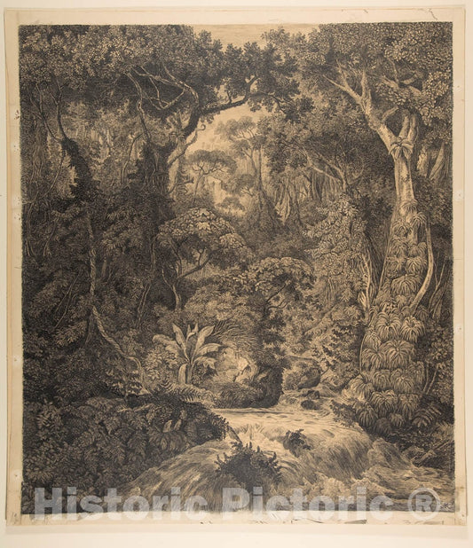 Art Print : Hermann von Königsbrunn - Ceylonese Jungle : Vintage Wall Art