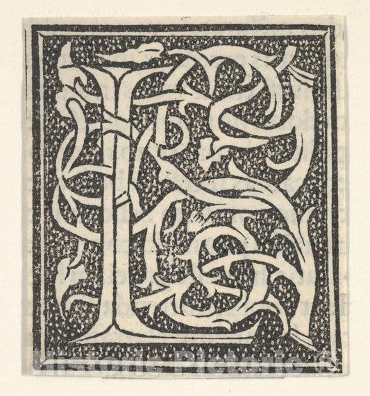 Art Print : Anonymous, Italian, 16th Century - Initial Letter L on Patterned Background : Vintage Wall Art
