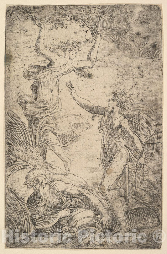Art Print : Andrea Schiavone (Andrea Meldola) - Apollo at Right Holding a Bow Chasing Daphne at The Left : Vintage Wall Art