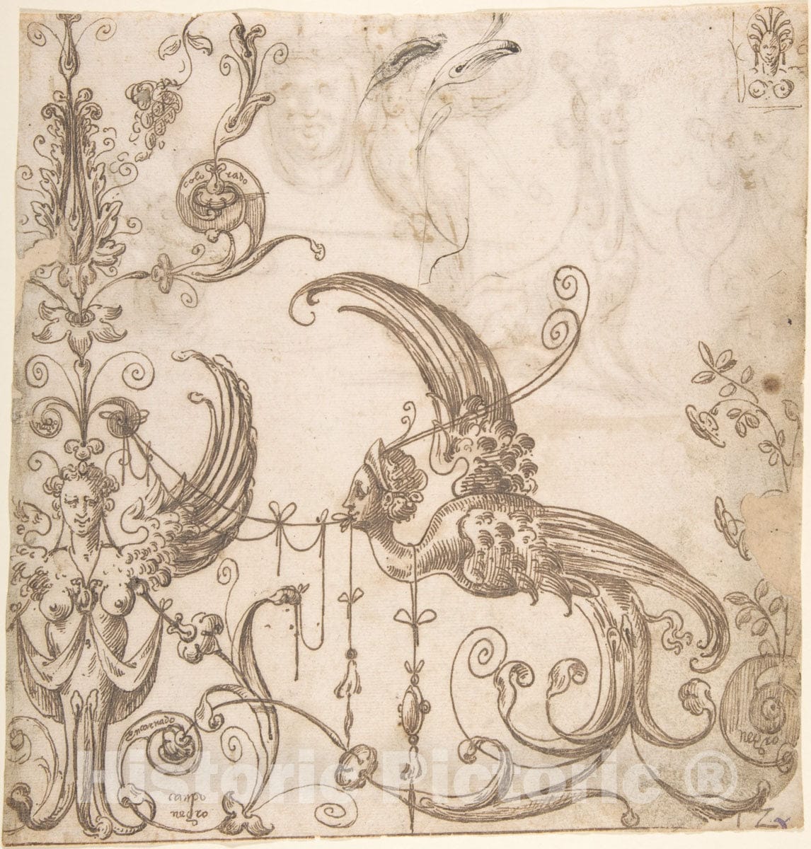 Art Print : Andrés de Melgar - Design for a Grotesque Decoration; Grotesques with a Lion, Fantastical Creature, Mask, and Bird (Verso) : Vintage Wall Art