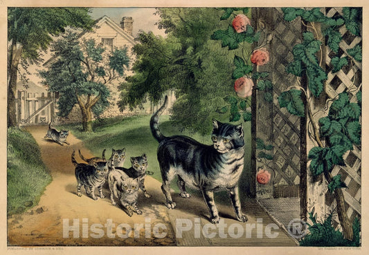 Art Print : Currier & Ives - Pussy's Return : Vintage Wall Art