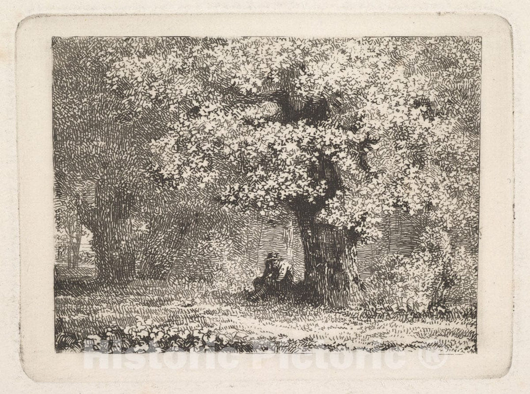 Art Print : Johann Christoph Erhard - A Man Sitting Under a Tree in Bloom : Vintage Wall Art