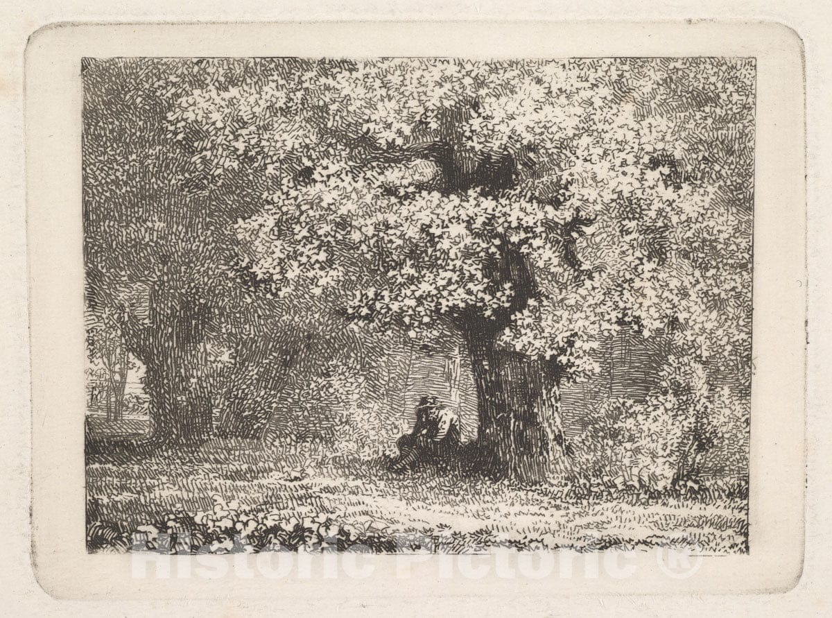 Art Print : Johann Christoph Erhard - A Man Sitting Under a Tree in Bloom : Vintage Wall Art