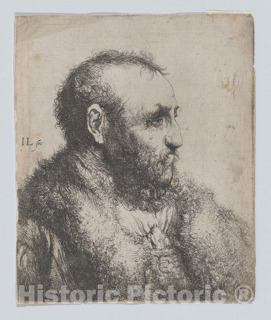 Art Print : Jan Lievens - Bust of an Old Man with a Fur Collar : Vintage Wall Art
