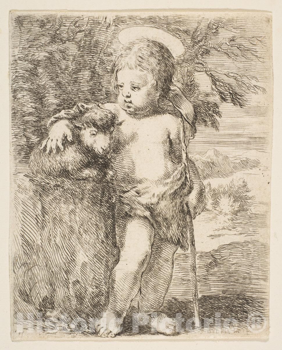 Art Print : Etched by Stefano Della Bella - The Infant St. John The Baptist with his Lamb : Vintage Wall Art