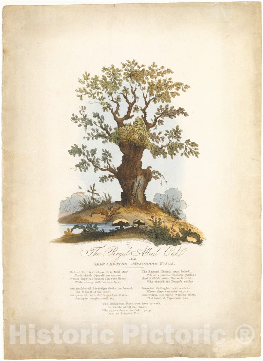Art Print : William Heath ('Paul Pry') - The Royal Allied Oak and Self-Created Mushroom Kings : Vintage Wall Art