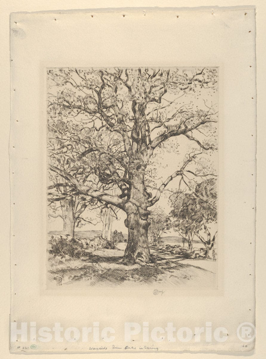 Art Print : Childe Hassam - The Wayside Inn - Oaks in Spring (Sudbury, Massachusetts) : Vintage Wall Art
