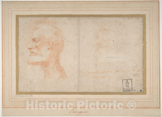 Art Print : Head of a Bearded Man in Profile to Left - Artist: Parmigianino (Girolamo Francesco Maria Mazzola) - Created: 1503–40 : Vintage Wall Art