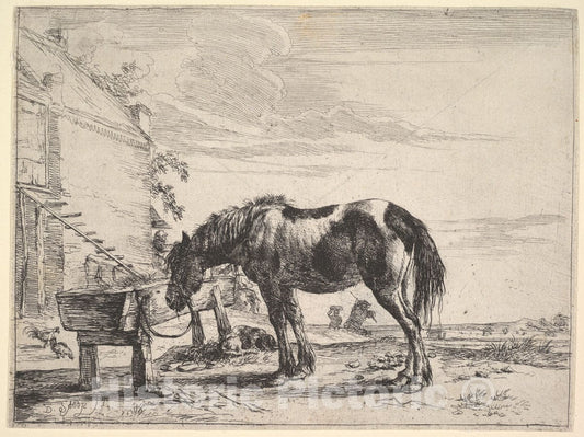 Art Print : Dirck Stoop - Horse Bound to a Feeding Trough : Vintage Wall Art