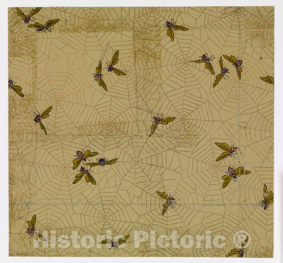 Art Print : Candace Wheeler - Spider Web : Vintage Wall Art