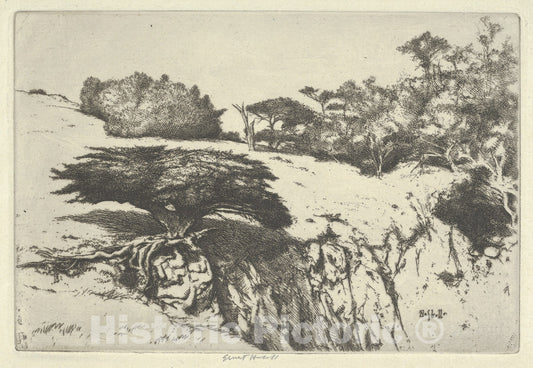 Art Print : Ernest Haskell - Fan Tree and Her Canyon : Vintage Wall Art