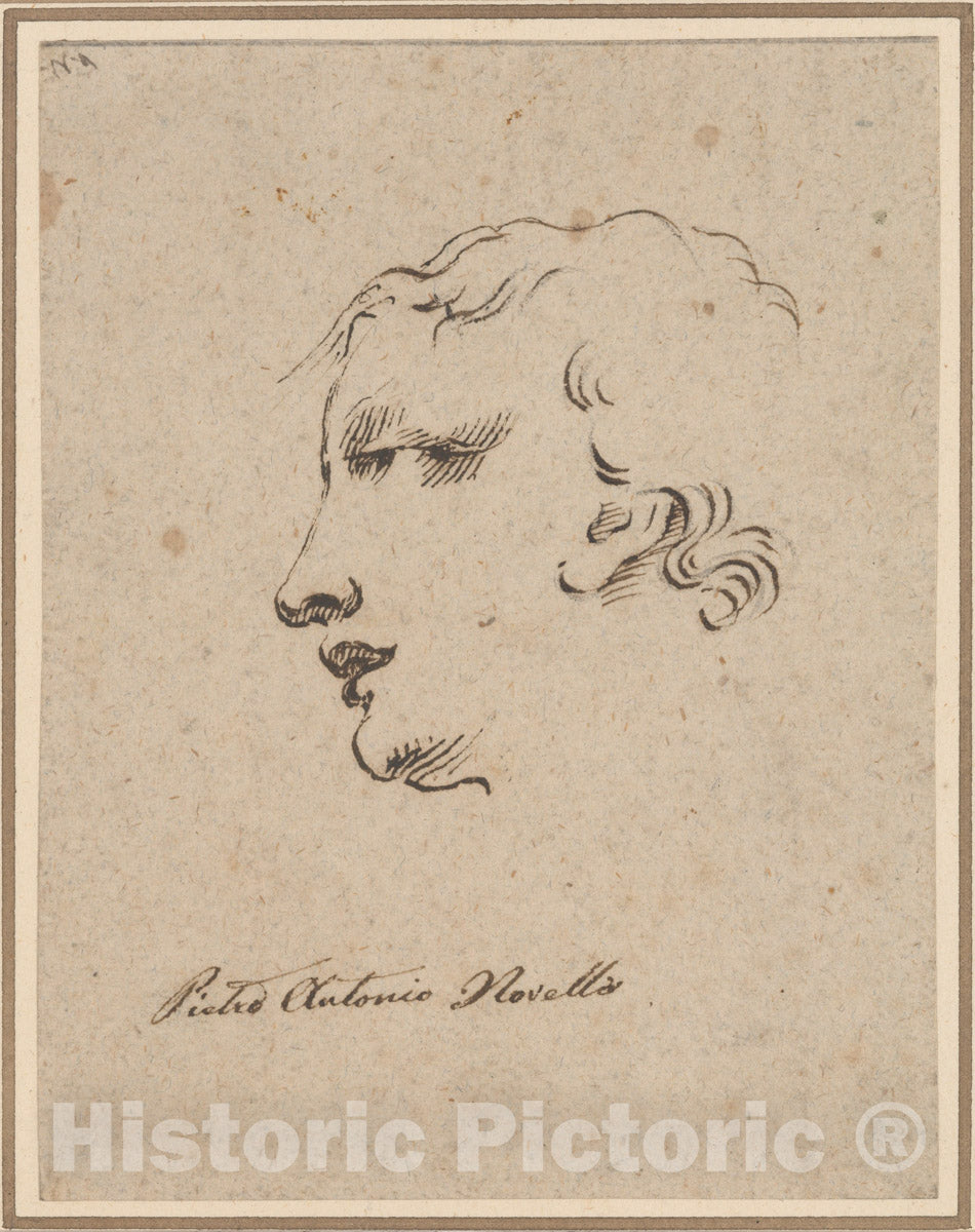 Art Print : in The Manner of Pietro Antonio Novelli - Head of a Man : Vintage Wall Art