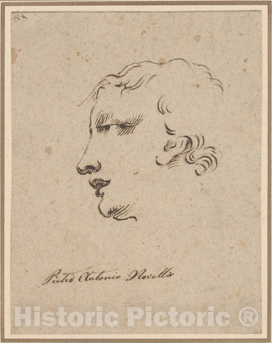 Art Print : in The Manner of Pietro Antonio Novelli - Head of a Man : Vintage Wall Art