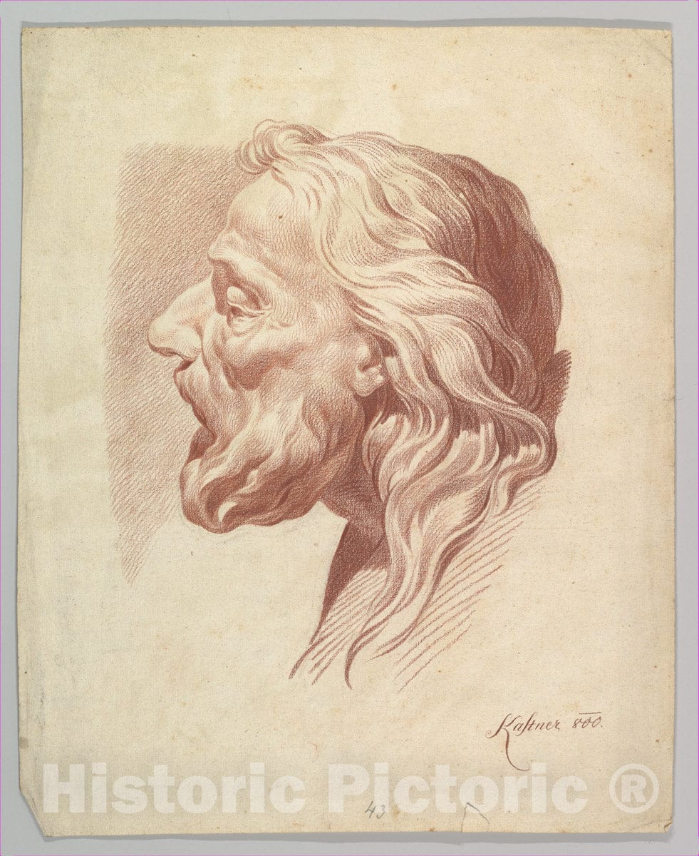 Art Print : Johann Evangelist Kastner - Head of a Bearded Old Man in Profile to The Right : Vintage Wall Art