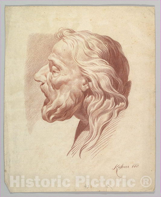 Art Print : Johann Evangelist Kastner - Head of a Bearded Old Man in Profile to The Right : Vintage Wall Art
