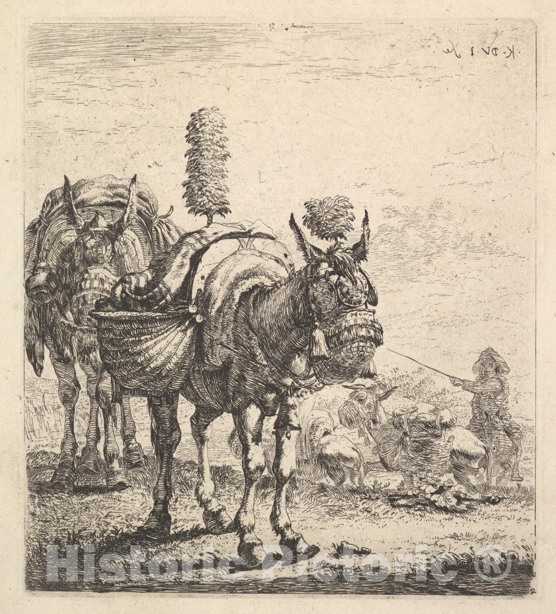 Art Print : Two Mules Bearing panniers and outfitted with Blinders - Artist: Karel Dujardin - Created: c1641 : Vintage Wall Art