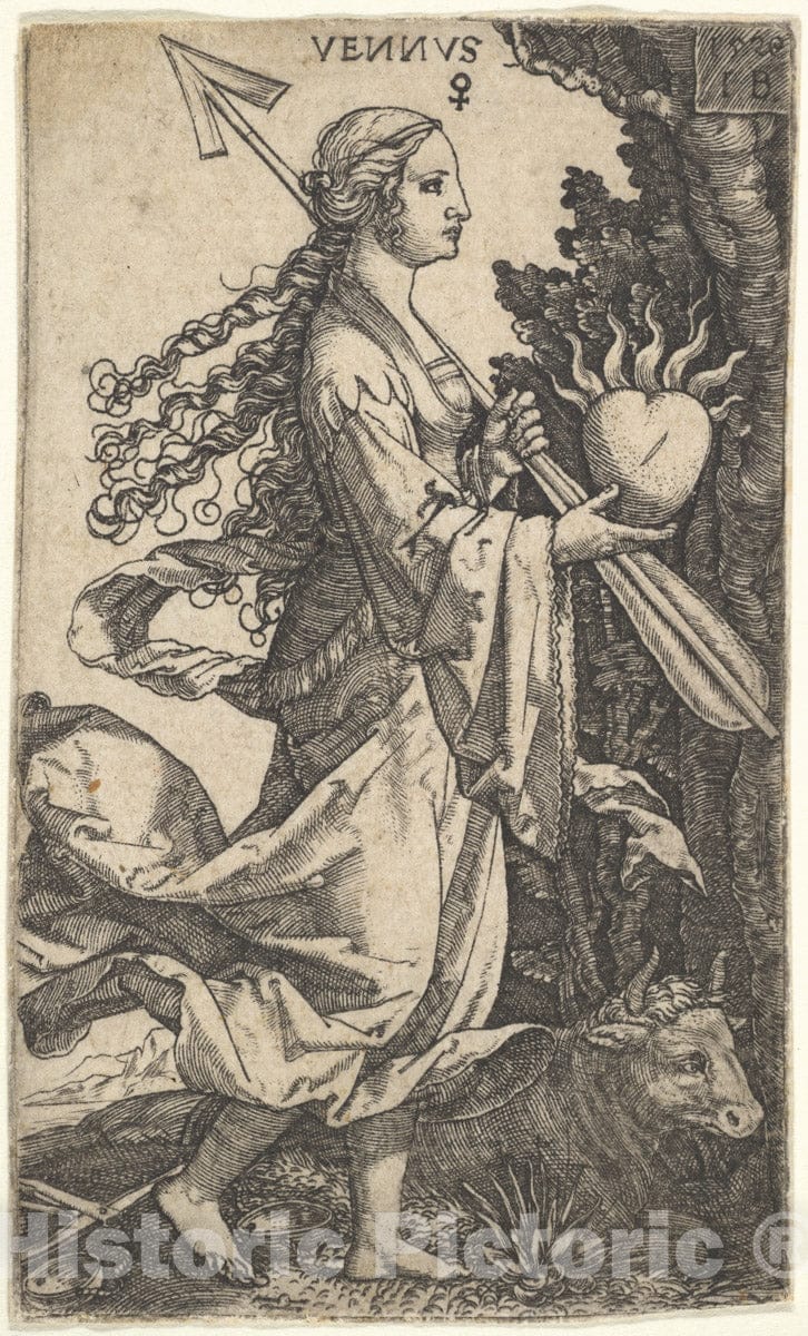 Dragable Image
