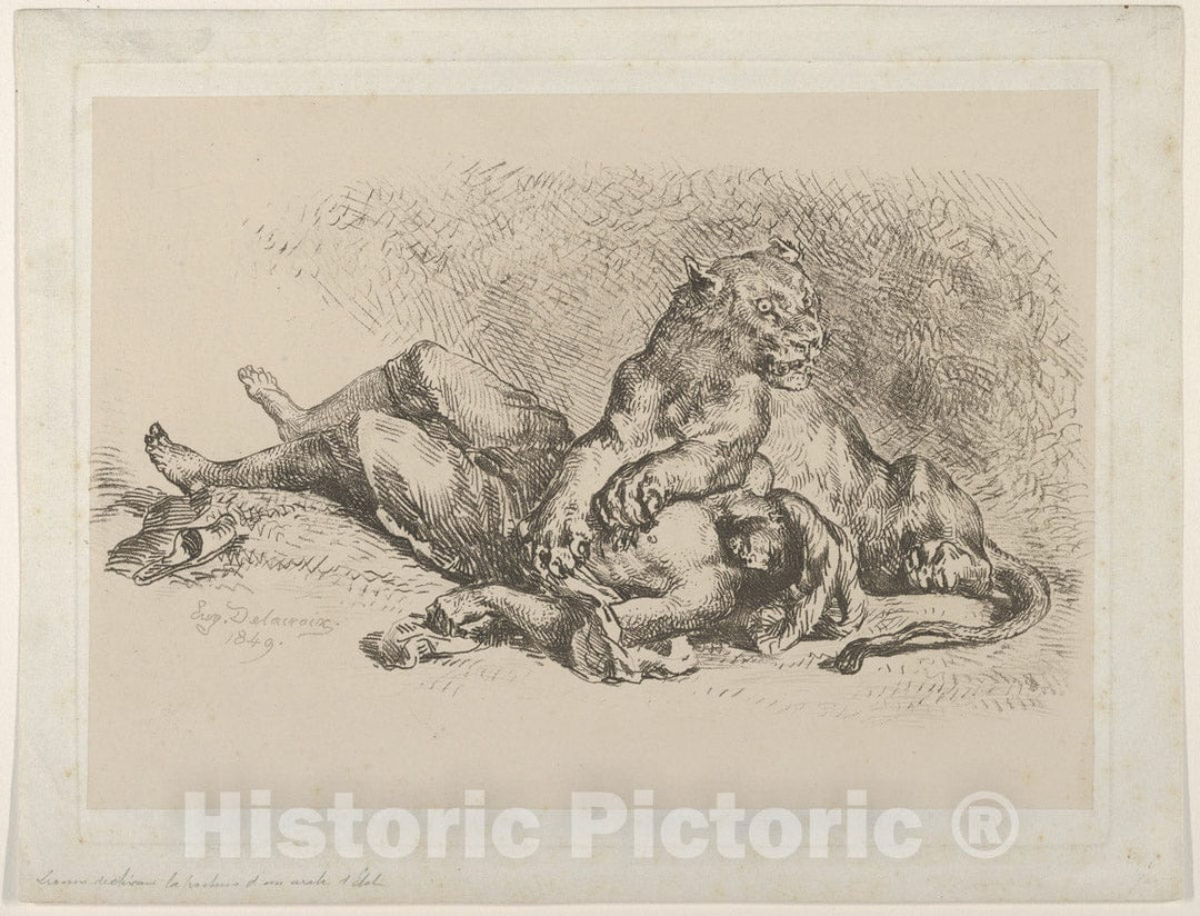 Art Print : Eugène Delacroix - A Lioness Mauling The Chest of an Arab : Vintage Wall Art