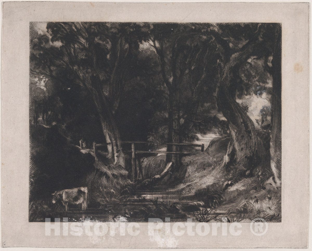 Art Print : David Lucas - A Dell, Helmingham Park, Suffolk - 437259 : Vintage Wall Art