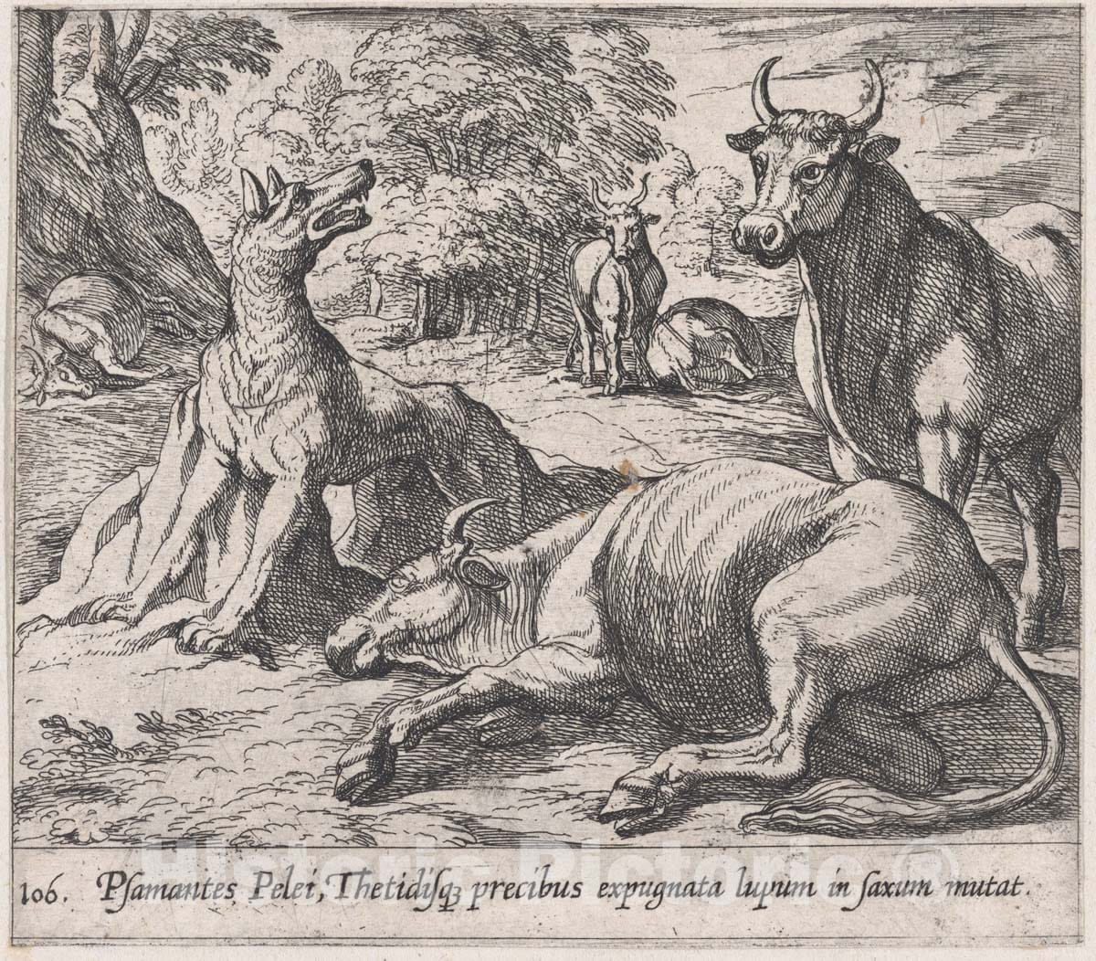 Art Print : Plate 106: Peleus's Cattle, ad The Sea Wolf Turned to Marble - Artist: Antonio Tempesta - Created: 1606 : Vintage Wall Art