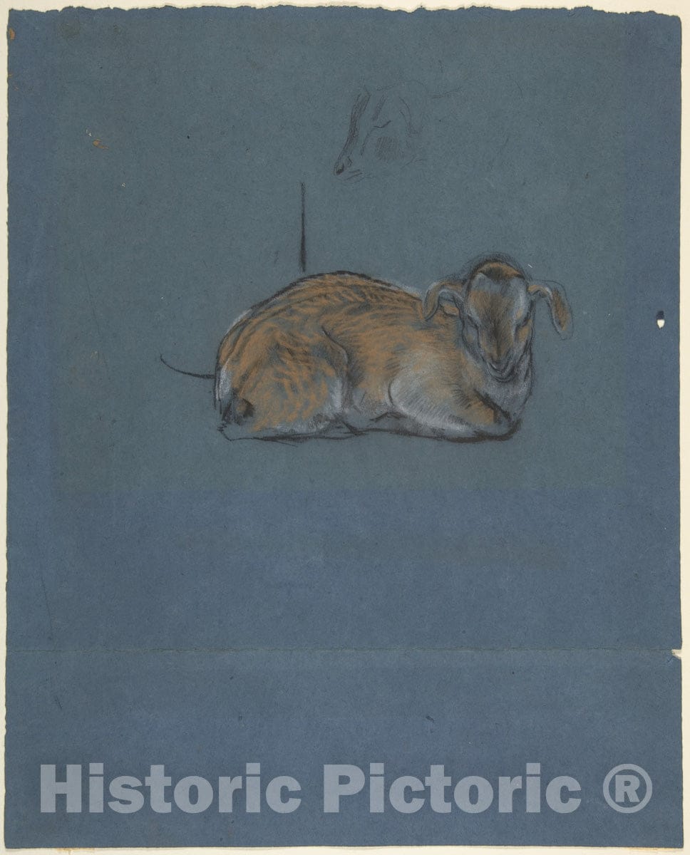 Art Print : John Macallan Swan - Studies of a Kid or Fawn : Vintage Wall Art