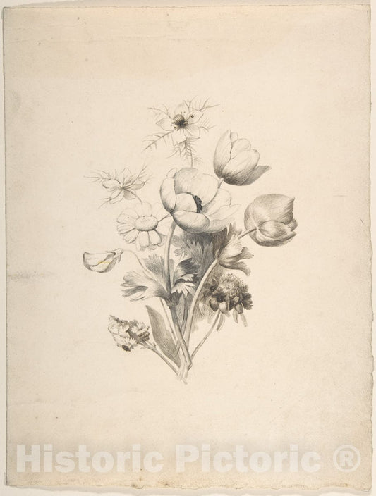Art Print : Antoine Berjon - Floral Design - 437495 : Vintage Wall Art
