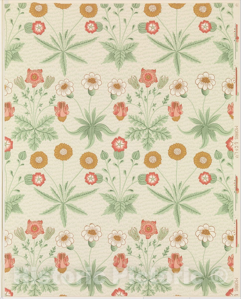 Art Print : William Morris - Daisy : Vintage Wall Art