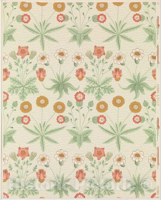 Art Print : William Morris - Daisy : Vintage Wall Art