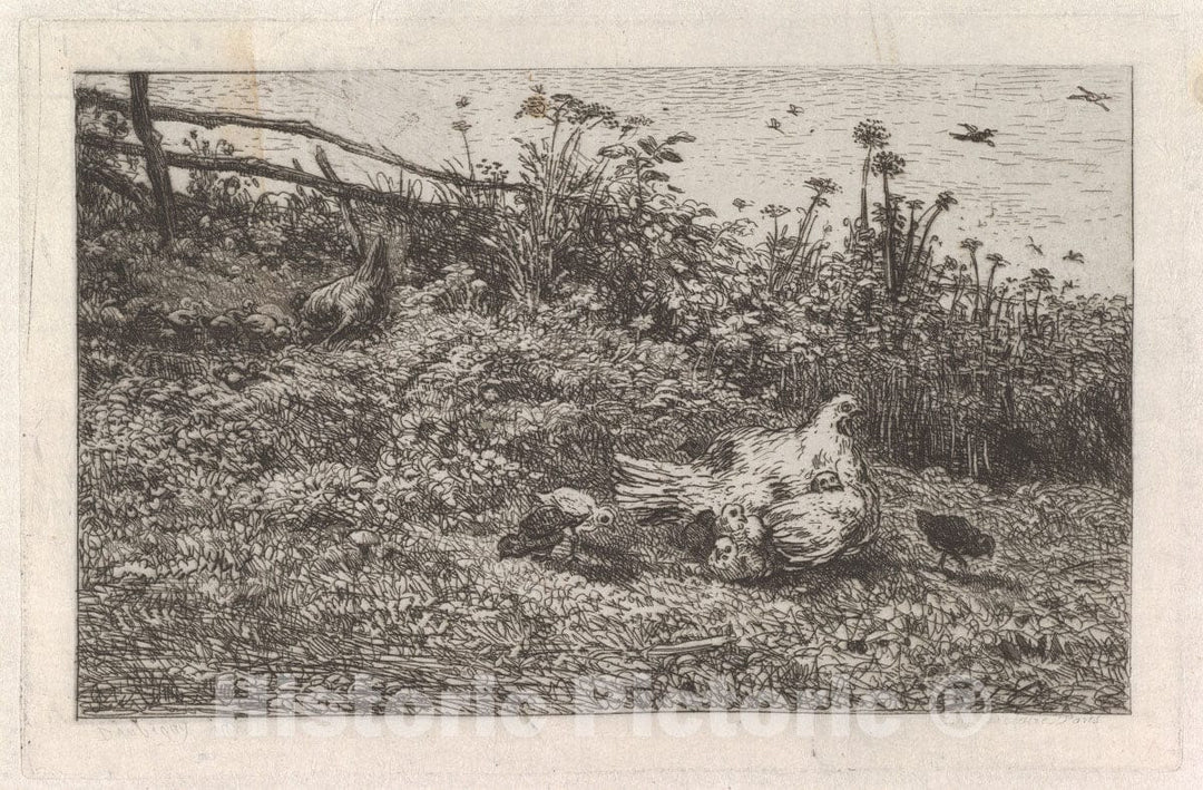 Art Print : Charles-François Daubigny - Le Poule et SES Poussins : Vintage Wall Art