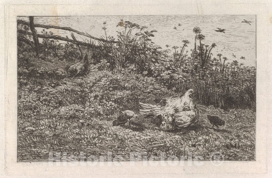 Art Print : Charles-François Daubigny - Le Poule et SES Poussins : Vintage Wall Art