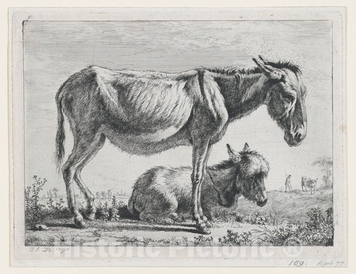 Art Print : Jean Jacques de Boissieu - Jenny with its Foal : Vintage Wall Art