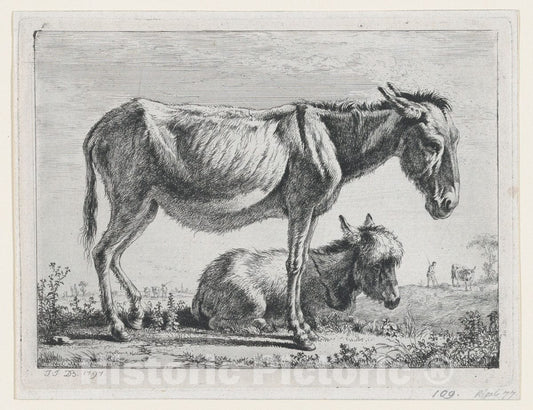 Art Print : Jean Jacques de Boissieu - Jenny with its Foal : Vintage Wall Art