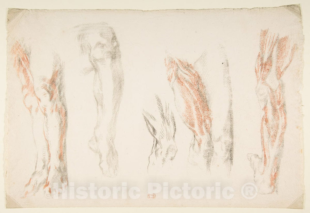 Art Print : Eugène Delacroix - Anatomical Studies of Legs : Vintage Wall Art
