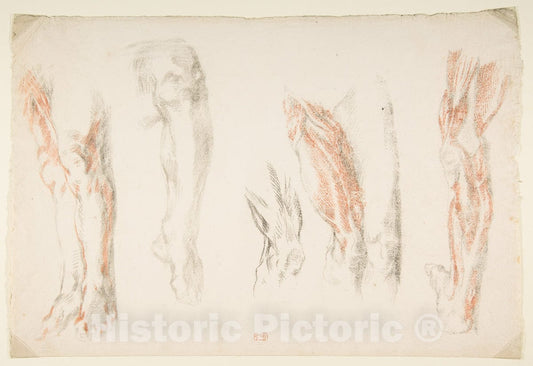 Art Print : Eugène Delacroix - Anatomical Studies of Legs : Vintage Wall Art