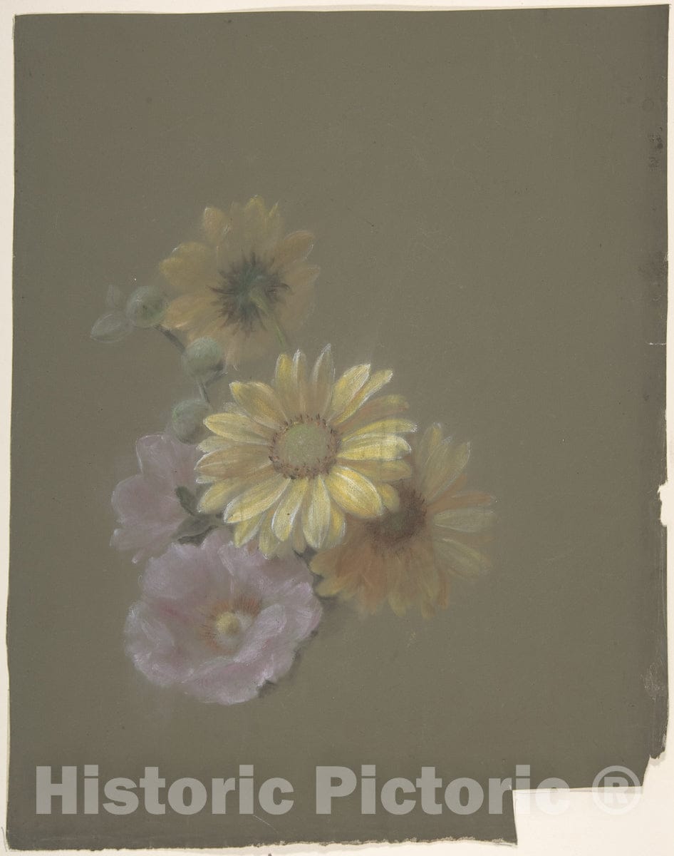 Art Print : Antoine Berjon - Yellow Daisies and Pink Wild Rose : Vintage Wall Art