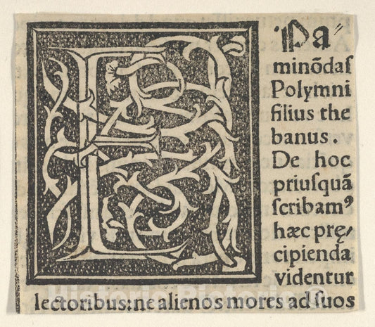 Art Print : Anonymous, Italian, 16th Century - Initial Letter E on Patterned Background 2 : Vintage Wall Art