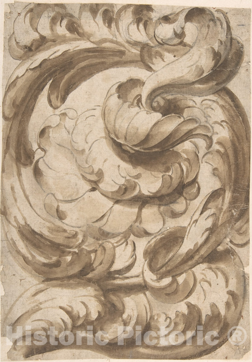 Art Print : Italian, 17th Century - Acanthus Scroll with Rosette : Vintage Wall Art