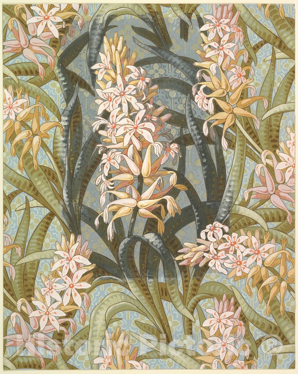 Art Print : British, Late 19th to Early 20th Century - Wallpaper Design with Hostas or Marsh Lilies : Vintage Wall Art