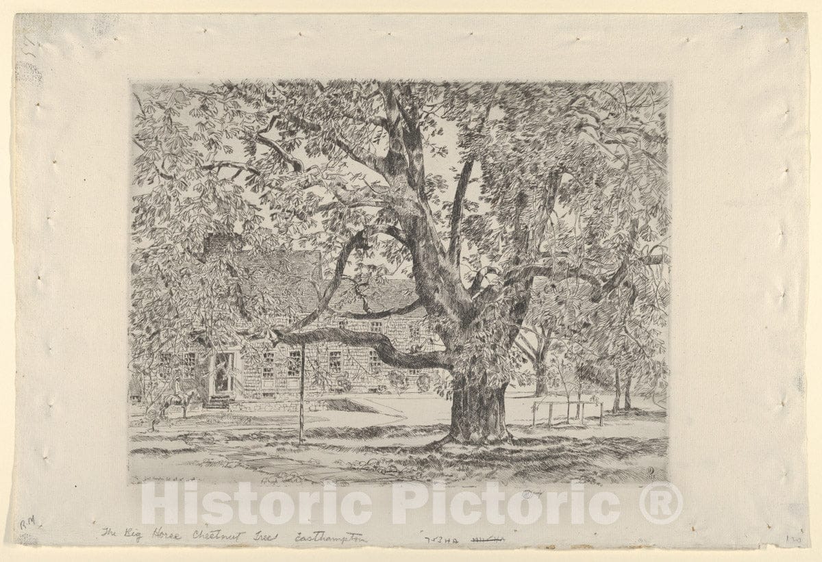 Art Print : Childe Hassam - The Big Horse Chestnut Tree, Easthampton : Vintage Wall Art