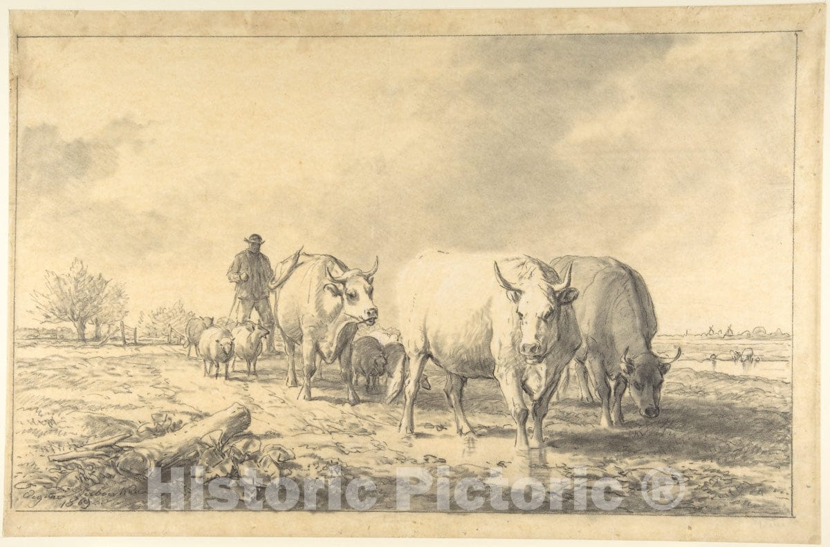 Art Print : Eugène-Joseph Verboeckhoven - Cows in a Landscape : Vintage Wall Art