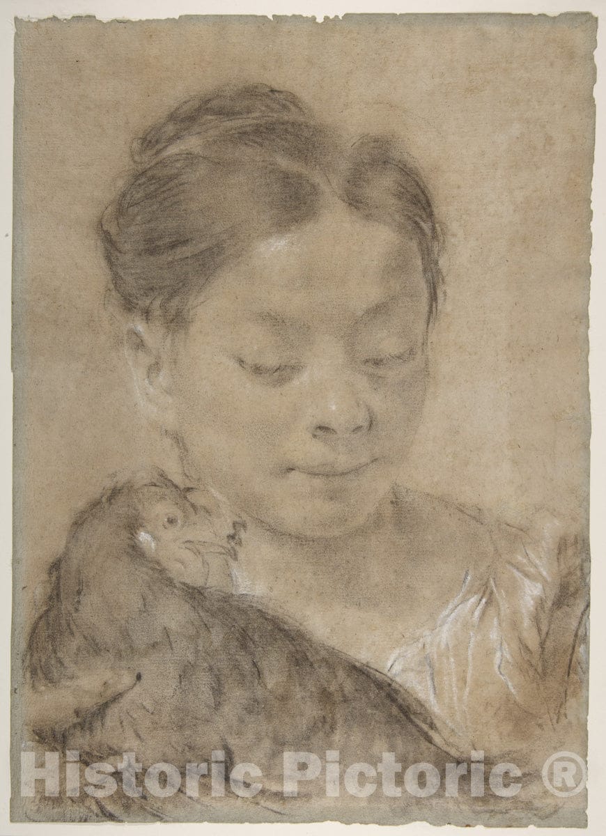 Dragable Image