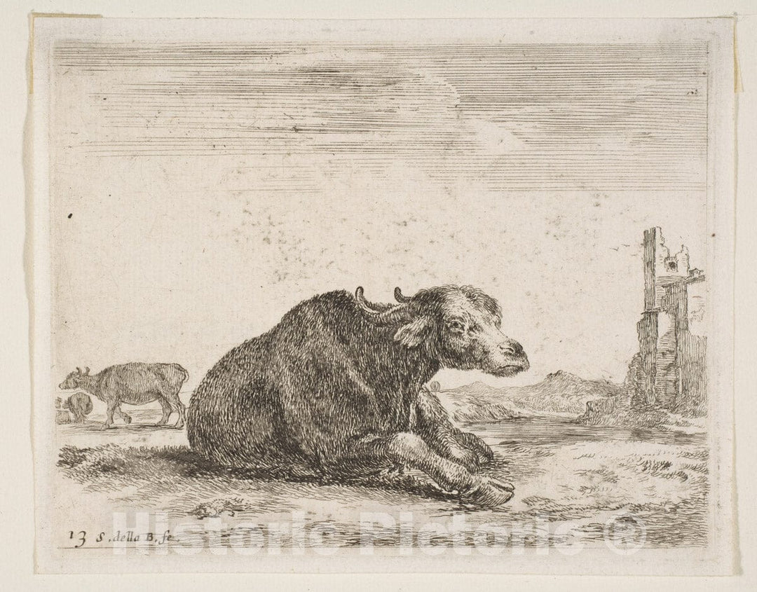 Art Print : Stefano Della Bella - Plate 13: Buffalo Lying Down, from 'Various Animals' (Diversi animali) 2 : Vintage Wall Art
