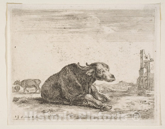 Art Print : Stefano Della Bella - Plate 13: Buffalo Lying Down, from 'Various Animals' (Diversi animali) 2 : Vintage Wall Art