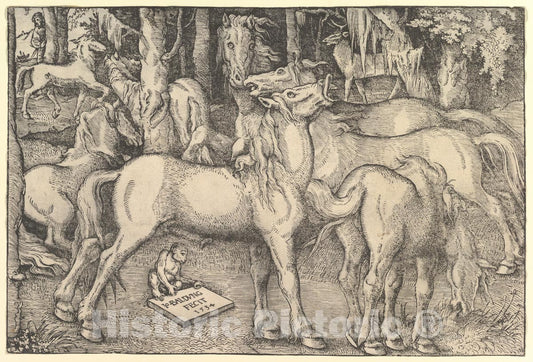Art Print : Hans Baldung (Called Hans Baldung Grien) - Group of Seven Horses : Vintage Wall Art