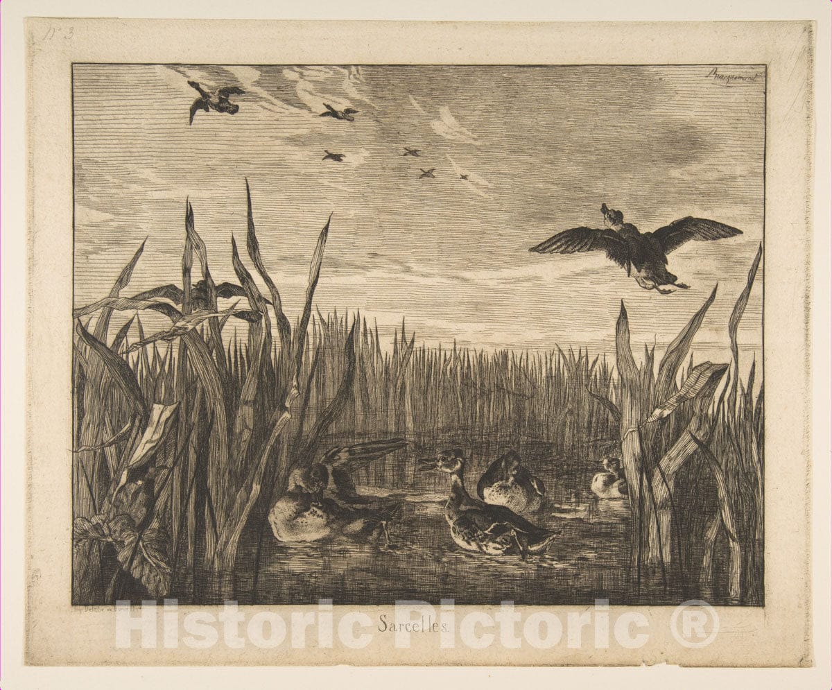 Art Print : Félix Bracquemond - Teals 2 : Vintage Wall Art